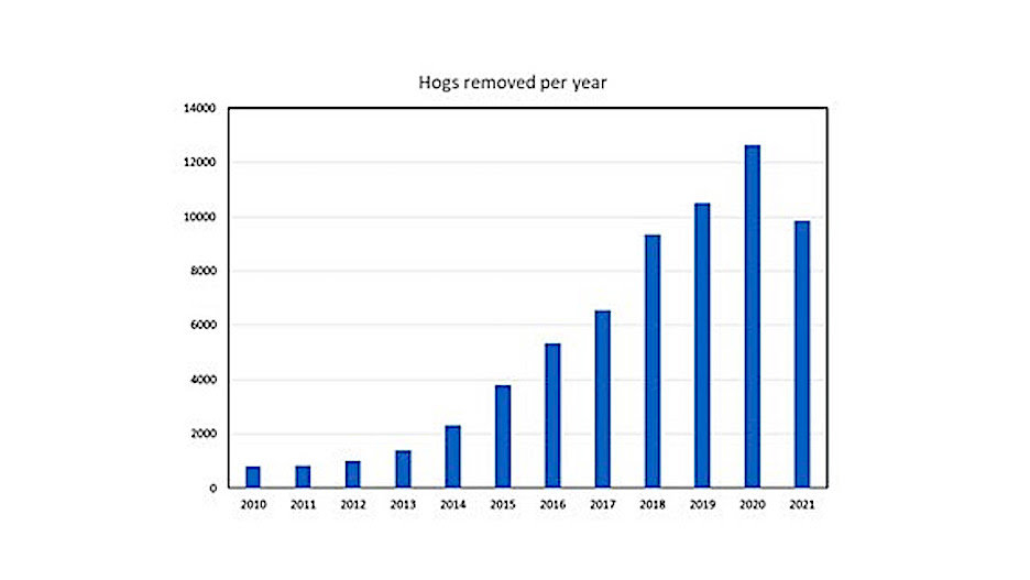 Feral hog removals have increased dramatically until peaking in 2020. Removals in 2021 were the lowest since 2018, which indicates the effects the Partnership is having on hogs.